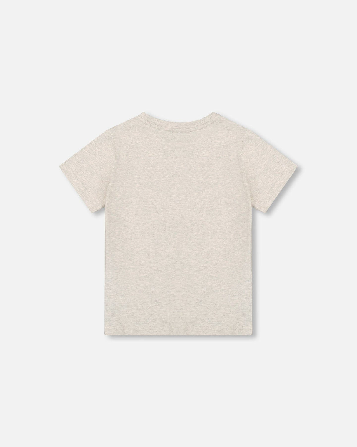 Organic Cotton Jersey T-Shirt Solid Heather Grey-1