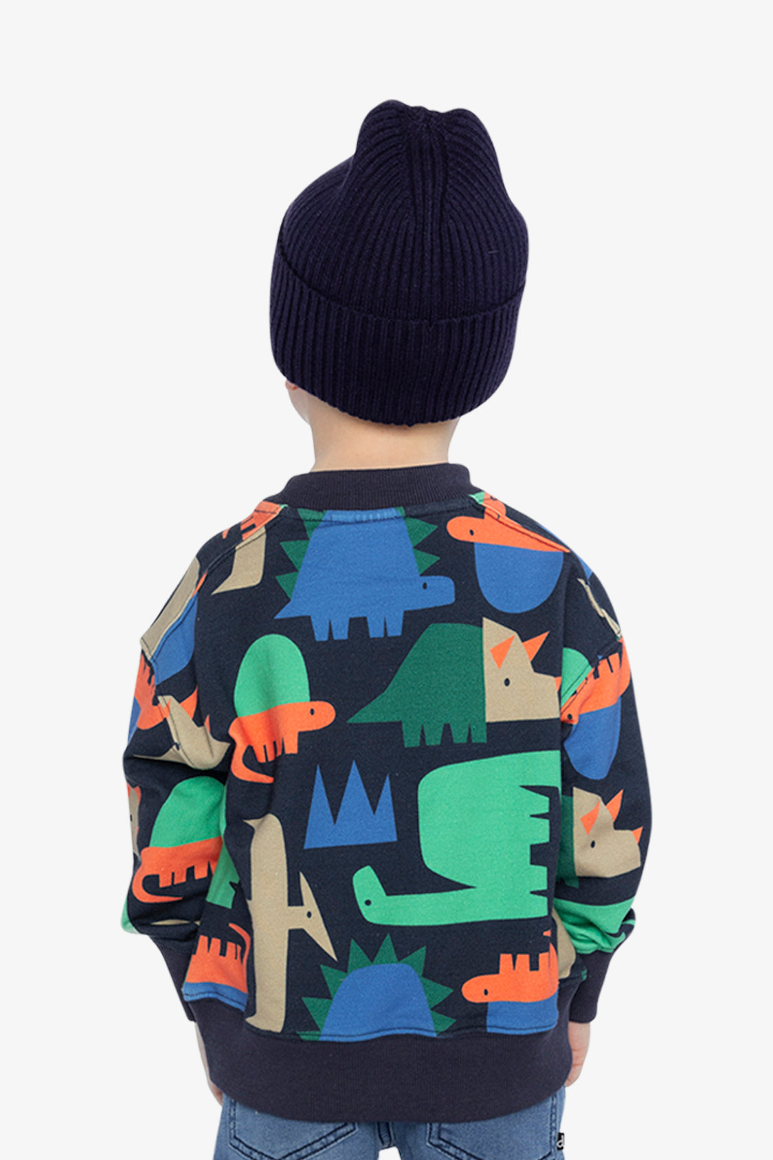 Fleece Sweatshirt Blue Dinosaur Print-3
