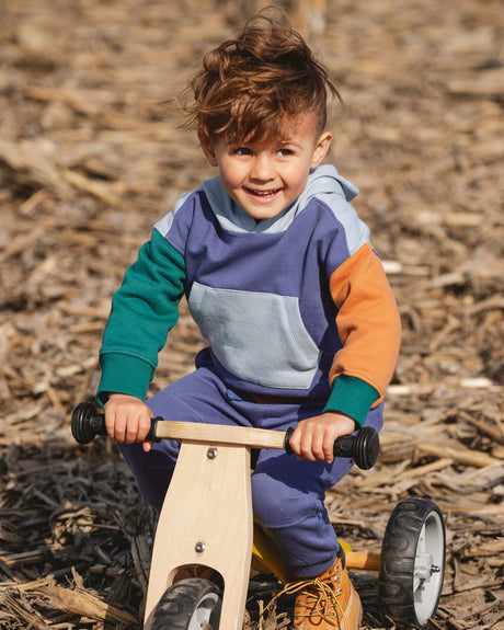 Long Sleeve Colorblocked Hooded Fleece Sweatshirt Blue-1