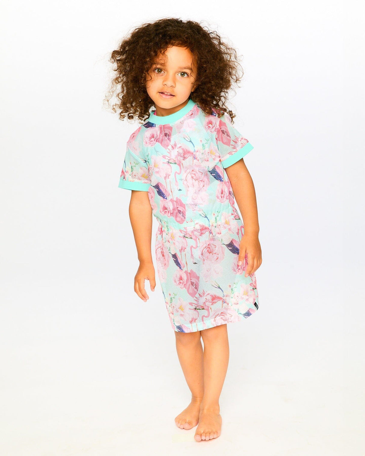 Mesh Beach Dress Blue Flamingo Print-2