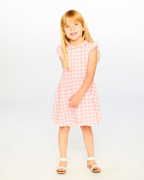 Sleeveless Button Down Dress Pink Gingham-1