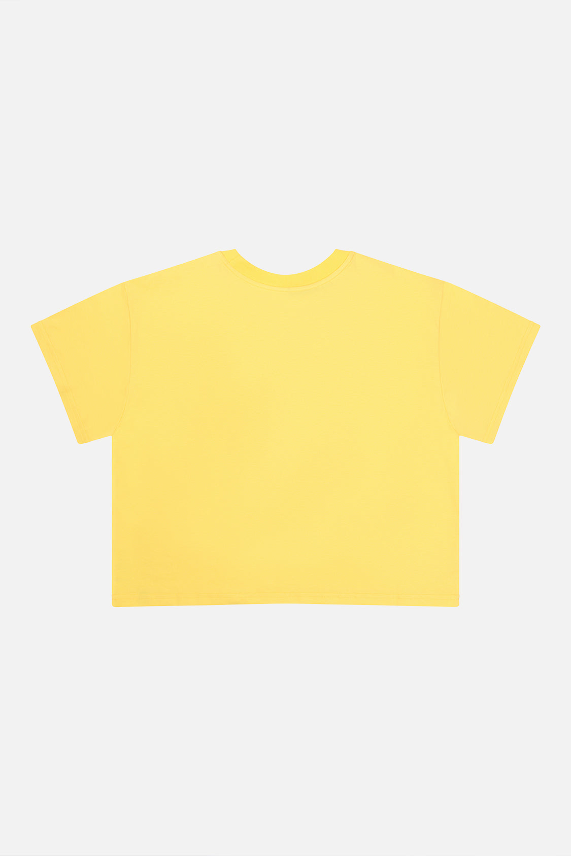 Adult 40Th Anniversary Graphic T-Shirt Honey Yellow-2