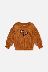Velvet Top Brown-0