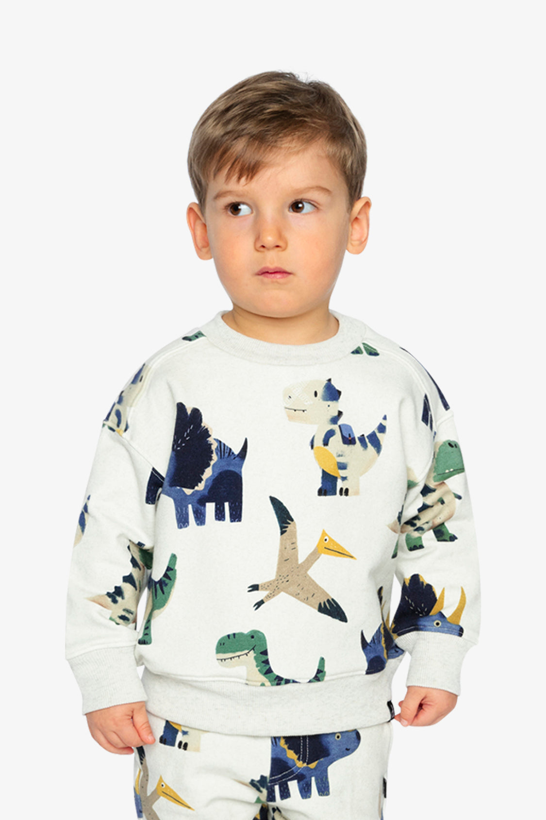 Fleece Sweatshirt Beige Dinosaur Print-2
