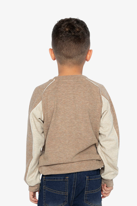 Brushed Jersey Top With Raglan Sleeves Taupe-3