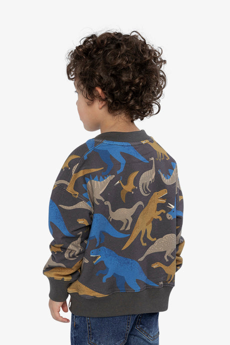 Fleece Sweatshirt Grey Dinosaur Print-3