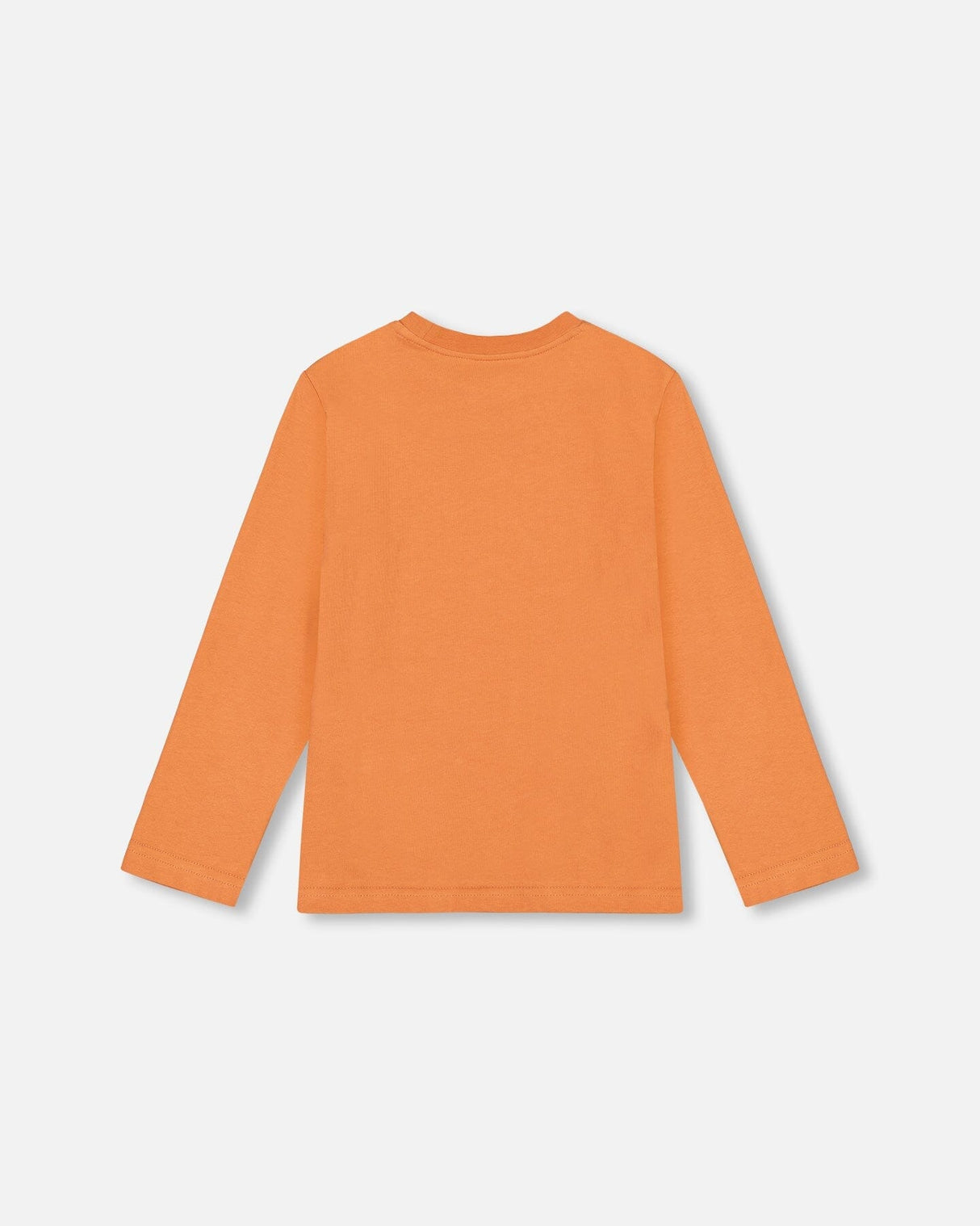 Jersey T-Shirt With Print Burnt Orange-2