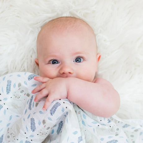 Swaddle Blanket Muslin Cotton Modern Koala | Lulujo | Lulujo | Jenni Kidz